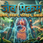 जैव प्रक्रम का शैक्षणिक इन्फोग्राफिक, जिसमें पोषण, श्वसन, परिवहन और उत्सर्जन की प्रक्रियाएँ दर्शाई गई हैं