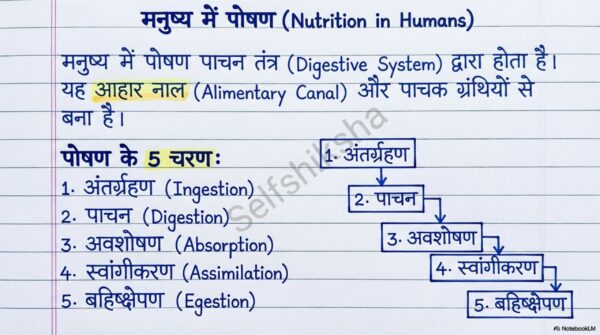 Class 10th Science  Notes For Bihar Board Students
