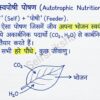 Class 10th Science  Notes For Bihar Board Students
