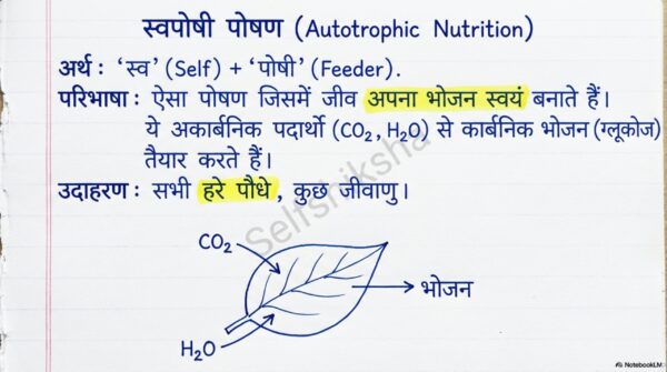 Class 10th Science  Notes For Bihar Board Students