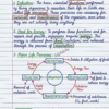 Class 10 Biology Notes PDF (CBSE) | Chapterwise Handwritten Notes