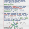 Class 10 Biology Notes PDF (CBSE) | Chapterwise Handwritten Notes