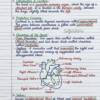 Class 10 Biology Notes PDF (CBSE) | Chapterwise Handwritten Notes