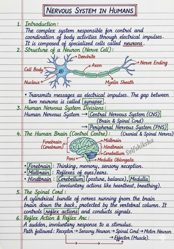 Class 10 Biology Notes PDF (CBSE) | Chapterwise Handwritten Notes