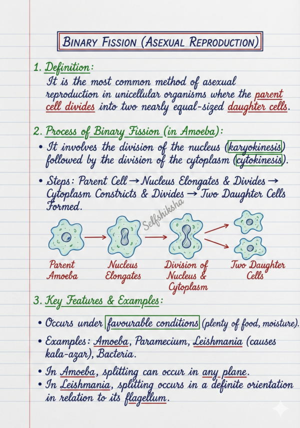 Class 10 Biology Notes PDF (CBSE) | Chapterwise Handwritten Notes