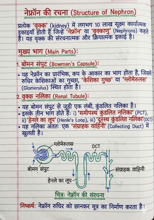 Class 10 Biology Handwritten Notes (NCERT Based) Hindi Medium | Board Exam & Revision Notes (PDF)