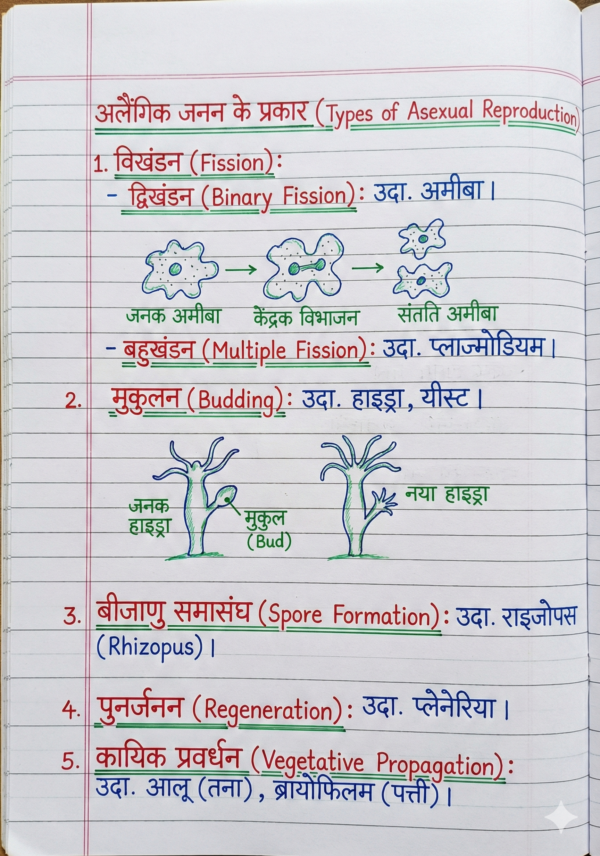 Class 10 Biology Handwritten Notes (NCERT Based) Hindi Medium | Board Exam & Revision Notes (PDF)
