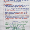 Class 10 Biology Handwritten Notes (NCERT Based) Hindi Medium | Board Exam & Revision Notes (PDF)