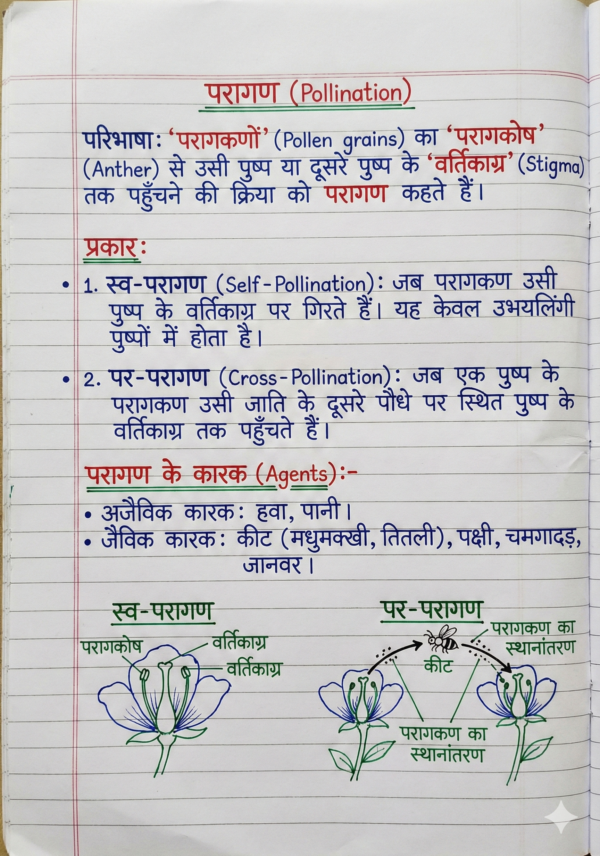 Class 10 Biology Handwritten Notes (NCERT Based) Hindi Medium | Board Exam & Revision Notes (PDF)