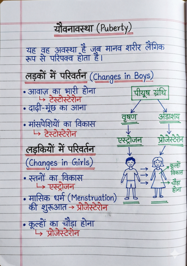 Class 10 Biology Handwritten Notes (NCERT Based) Hindi Medium | Board Exam & Revision Notes (PDF)