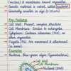 Class 9th Biology Handwritten Notes (CBSE & ICSE)