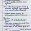 Class 9th Biology Handwritten Notes (CBSE & ICSE)