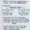 Class 9th Biology Handwritten Notes (CBSE & ICSE)