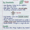 Class 9th Biology Handwritten Notes (CBSE & ICSE)