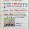 Class 10 Chemistry Notes Hindi Medium | Bihar Board (BSEB) | PDF Notes Chapterwise