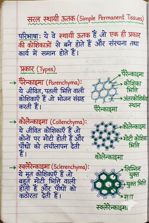 Class 9th Biology Handwritten Notes (Bihar Board) | Complete Chapter-wise Notes | PDF Download
