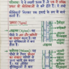 Class 9th Biology Handwritten Notes (Bihar Board) | Complete Chapter-wise Notes | PDF Download