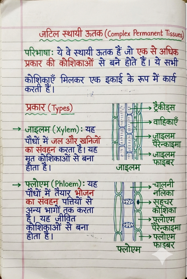 Class 9th Biology Handwritten Notes (Bihar Board) | Complete Chapter-wise Notes | PDF Download