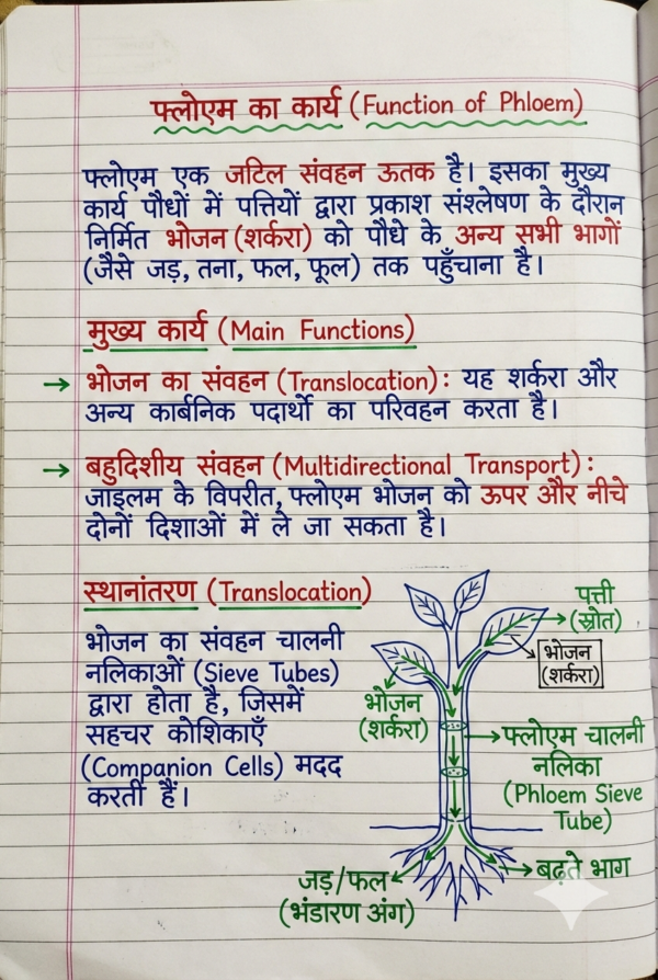 Class 9th Biology Handwritten Notes (Bihar Board) | Complete Chapter-wise Notes | PDF Download