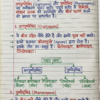 Class 9th Biology Handwritten Notes (Bihar Board) | Complete Chapter-wise Notes | PDF Download