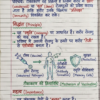 Class 9th Biology Handwritten Notes (Bihar Board) | Complete Chapter-wise Notes | PDF Download