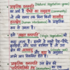 Class 9th Geography Handwritten Notes (BSEB Hindi Medium) – NCERT Based Detailed Handwritten Notes PDF | Bihar