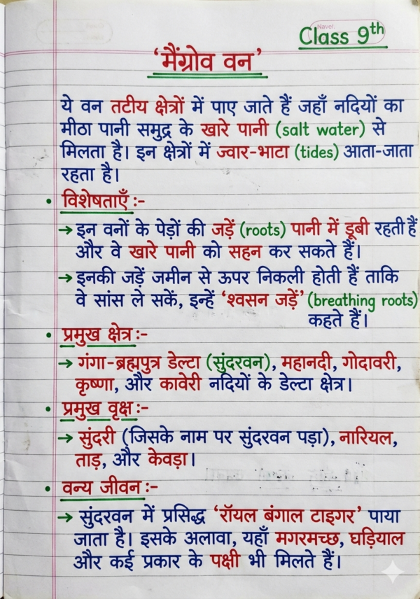 Class 9th Geography Handwritten Notes (BSEB Hindi Medium) – NCERT Based Detailed Handwritten Notes PDF | Bihar