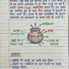 1773215696712 Class 9th Chemistry Handwritten Notes in Hindi (NCERT / BSEB Based) PDF | Selfshiksha