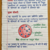 1773333923274 Class 9th Chemistry Handwritten Notes in Hindi (NCERT / BSEB Based) PDF | Selfshiksha