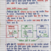 1773368279658 Class 9th Chemistry Handwritten Notes in Hindi (NCERT / BSEB Based) PDF | Selfshiksha