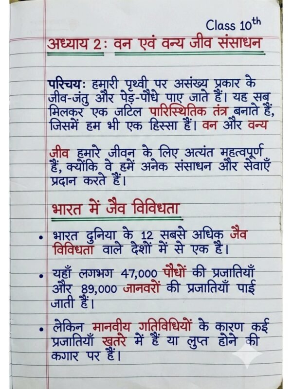 Class 10th Geography (भूगोल) Handwritten Notes PDF | NCERT Based | BSEB Hindi Medium | Chapterwise Complete Notes | Exam Ready Study Material