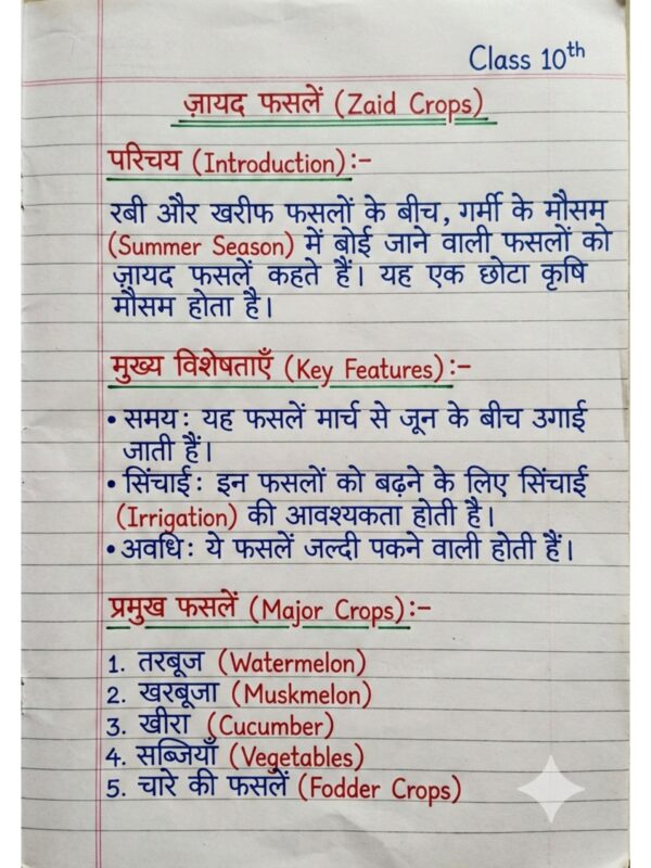 Class 10th Geography (भूगोल) Handwritten Notes PDF | NCERT Based | BSEB Hindi Medium | Chapterwise Complete Notes | Exam Ready Study Material