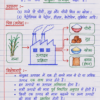 Class-10th-Economics-Handwritten-Notes-BSEB-Hindi-Medium.pdf