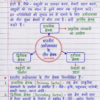 Class-10th-Economics-Handwritten-Notes-BSEB-Hindi-Medium.pdf