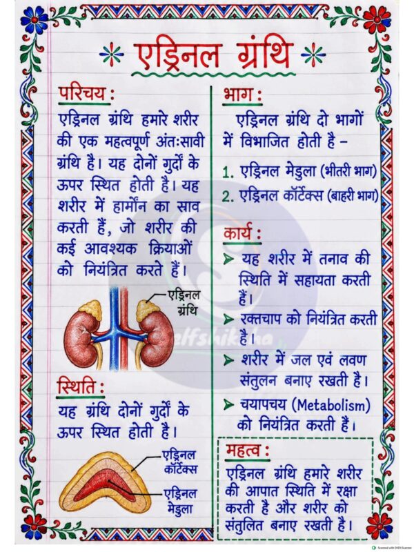 Part-3 (1)_5 Class 8 Science Handwritten Notes PDF | Colourful Premium Notes for Bihar Board & NCERT | SelfShiksha Study Material