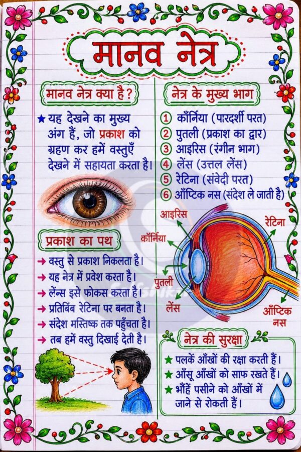 Partt-4_84 Class 8 Science Handwritten Notes PDF | Colourful Premium Notes for Bihar Board & NCERT | SelfShiksha Study Material