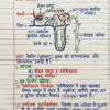 कक्षा 10 बिहार बोर्ड हस्तलिखित Previous Year Subjective Question Answers PDF | Chapter Wise | 2011–2026 | Colourful Notes