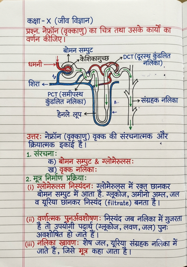 कक्षा 10 बिहार बोर्ड हस्तलिखित Previous Year Subjective Question Answers PDF | Chapter Wise | 2011–2026 | Colourful Notes