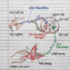 कक्षा 10 बिहार बोर्ड हस्तलिखित Previous Year Subjective Question Answers PDF | Chapter Wise | 2011–2026 | Colourful Notes