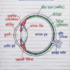 कक्षा 10 बिहार बोर्ड हस्तलिखित Previous Year Subjective Question Answers PDF | Chapter Wise | 2011–2026 | Colourful Notes