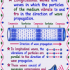 file_0000000018f071f5aea1e925c78c298d Class 9 Physics Handwritten Notes PDF | CBSE 2026-27 | Chapter-wise Notes | SelfShiksha
