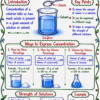 file_00000000565071fb8fd021366129e446 Class 9 Chemistry Handwritten Notes | NCERT Based | English Medium | Chapter-wise PDF Notes