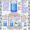 file_000000006ea471faa875a03924416e6c Class 9 Chemistry Handwritten Notes | NCERT Based | English Medium | Chapter-wise PDF Notes