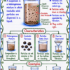 file_0000000099f071faa597496f1a8971c6 Class 9 Chemistry Handwritten Notes | NCERT Based | English Medium | Chapter-wise PDF Notes