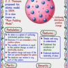 file_00000000eb6c71fd967e92e6114ea1d5 Class 9 Chemistry Handwritten Notes | NCERT Based | English Medium | Chapter-wise PDF Notes