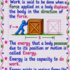 file_00000000eb7472089e07ba42f740e776 Class 9 Physics Handwritten Notes PDF | CBSE 2026-27 | Chapter-wise Notes | SelfShiksha