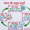 Class 7th Social Science Handwritten Notes PDF | Complete SST Notes | NCERT Based | Exam-Oriented Study Material