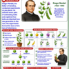file_0000000004ac82088867589f734b573e Class 10 Biology Colourful Notes PDF | CBSE & Bihar Board | Complete NCERT Based Study Notes