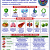 file_000000000a4081faa857028ad9c7a62f Class 10 Biology Colourful Notes PDF | CBSE & Bihar Board | Complete NCERT Based Study Notes