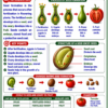 file_0000000018c482309f8a668fbbf56c44 Class 10 Biology Colourful Notes PDF | CBSE & Bihar Board | Complete NCERT Based Study Notes